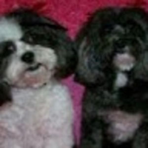 Meet your Posher, Jody